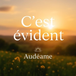 Pochette de C'est évident