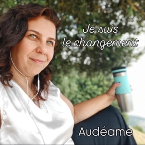 Pochette de Je suis le changement