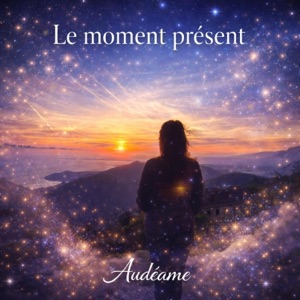 Pochette de Le moment présent